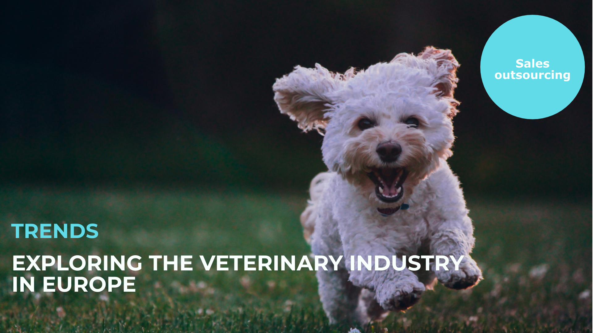 Veterinary Industry In Europe